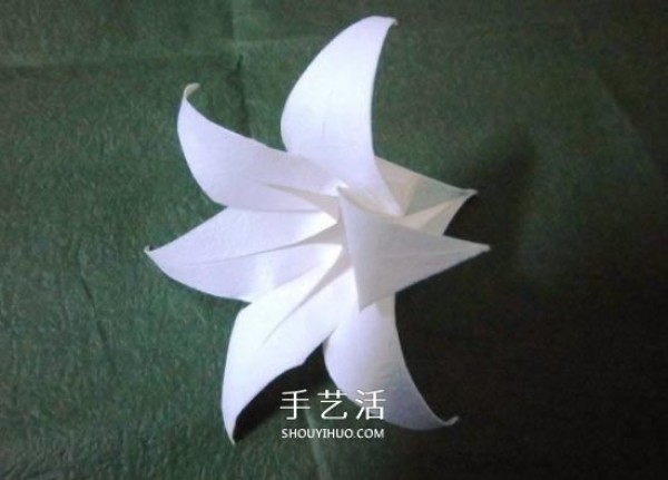 The origami process of the iron cannon lily illustrates the steps of folding the iron cannon lily by hand