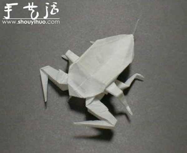 Appreciation of Insect Origami Works