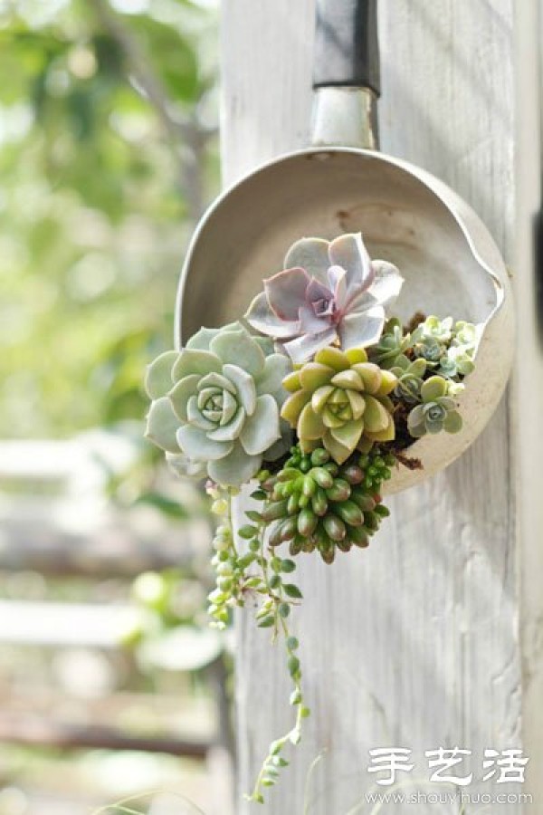 DIY environmentally friendly personalized wedding decoration with succulent plants