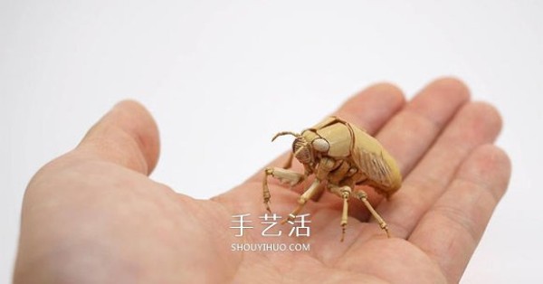 The exquisite insect model made of bamboo is almost the same as the real thing! 