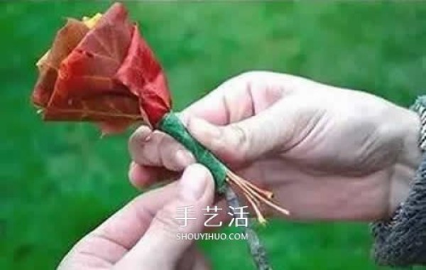 How to make roses with fallen leaves, illustrations of how to make maple leaf roses