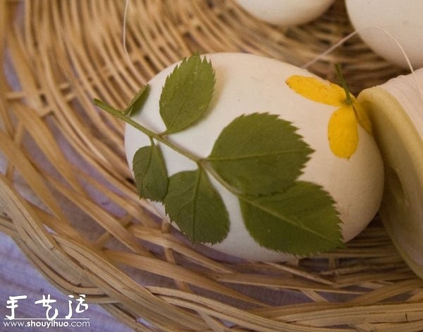 Creative handmade production of boiled eggs: printing and dyeing with white flowers and grass