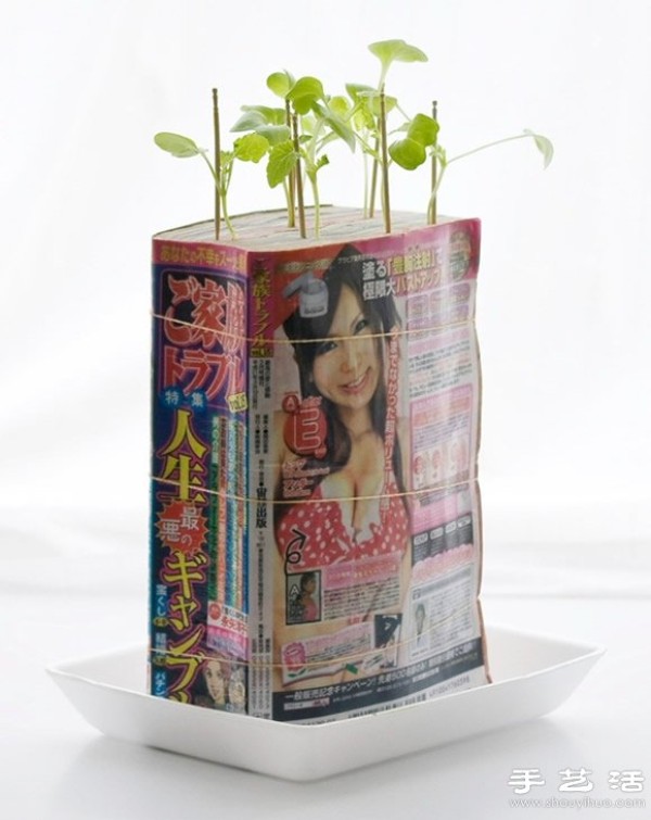 Waste and old books are used as waste in flower pots and waste is used to grow radish seedlings