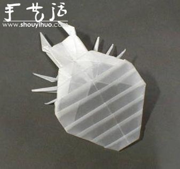 Appreciation of Insect Origami Works