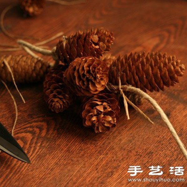 Pine nuts turn waste into treasure DIY beautiful holiday decorations