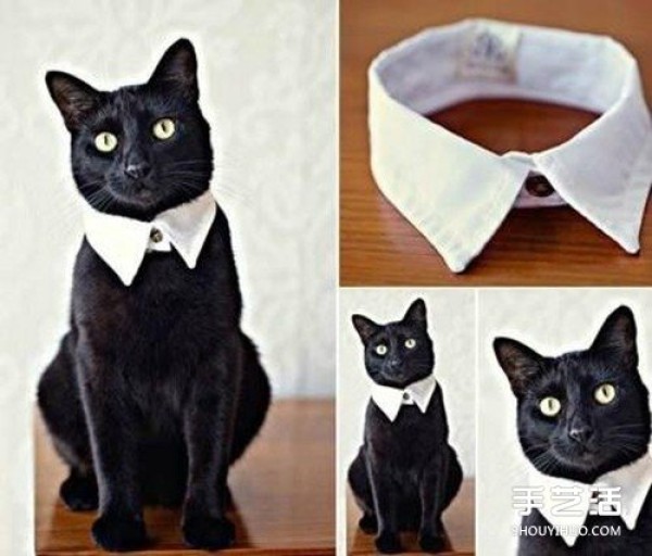 Using old shirt waste to make a DIY handmade gentleman cat collar