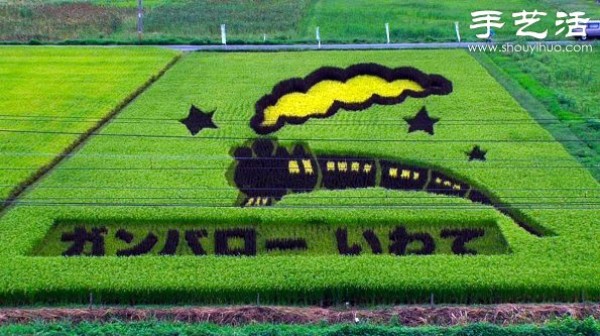 Wonderful and fun creative DIY to create a giant picture in the rice fields