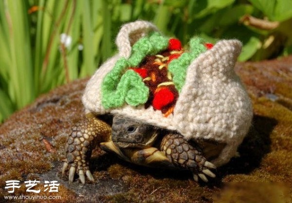 Creative knitting: What if you put clothes on the turtle! 