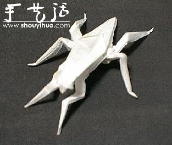 Appreciation of Insect Origami Works