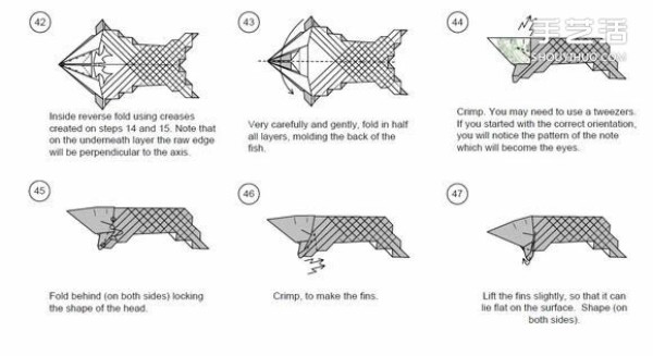 How to fold origami dollar carp and how to fold carp with dollars