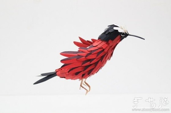 Paper art works: beautiful birds