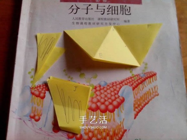 How to fold a six-pointed star box and how to make an origami star box