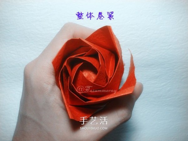 Detailed folding method of European and American roses, step-by-step diagram of how to fold PT roses