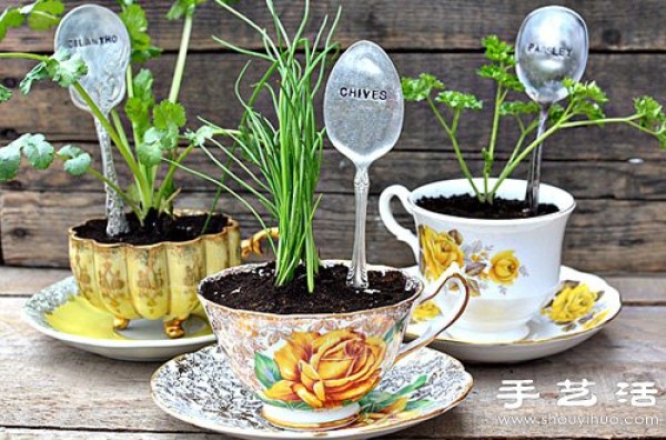 Ceramic cup and saucer + retro metal spoon DIY to make a small fresh potted plant