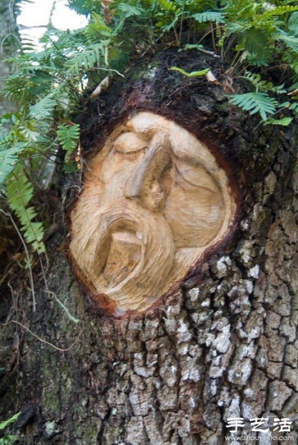 The fusion of tree carving sculpture art and nature