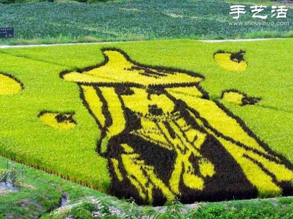 Wonderful and fun creative DIY to create a giant picture in the rice fields