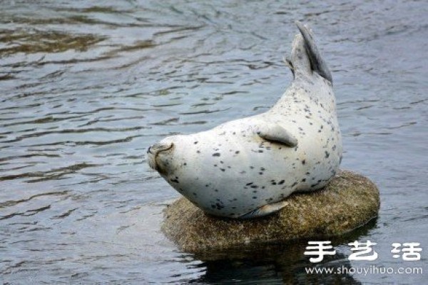 Super cute healing seal