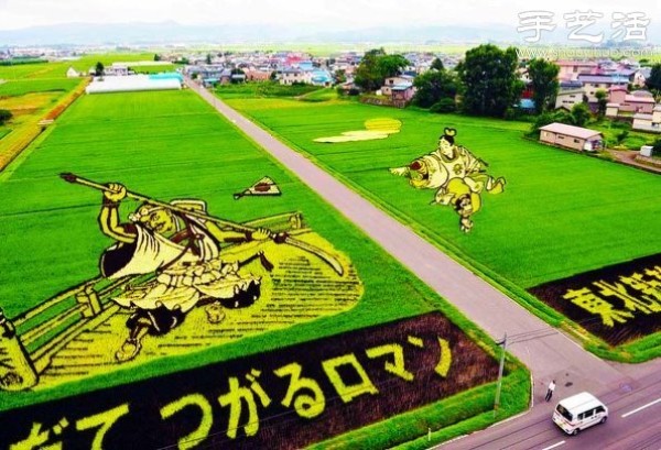 Wonderful and fun creative DIY to create a giant picture in the rice fields