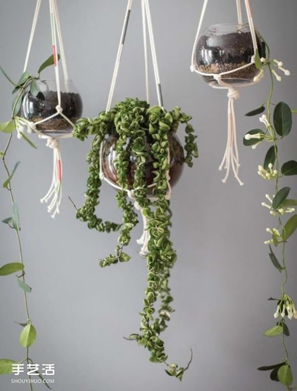 How to make your own hanging rope rack to make your potted plants more distinctive