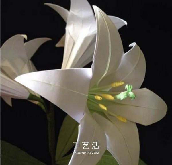 Illustration of how to fold paper lilies, step-by-step instructions for folding lilies