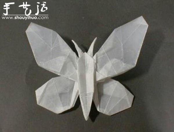 Appreciation of Insect Origami Works