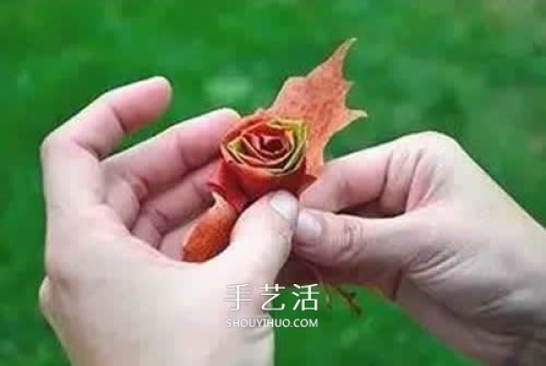 How to make roses with fallen leaves, illustrations of how to make maple leaf roses