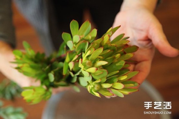 Using dead wood waste in DIY flower pots to make forest-style flower arrangements