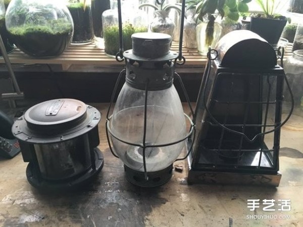 Of course you can also grow potted plants if you transform kerosene lamps into aquariums