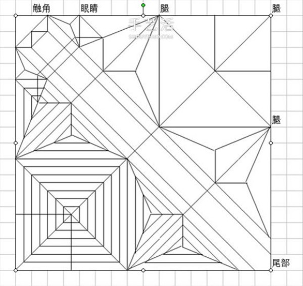 The origami method of leaf insects illustrates the steps of folding leaf insects