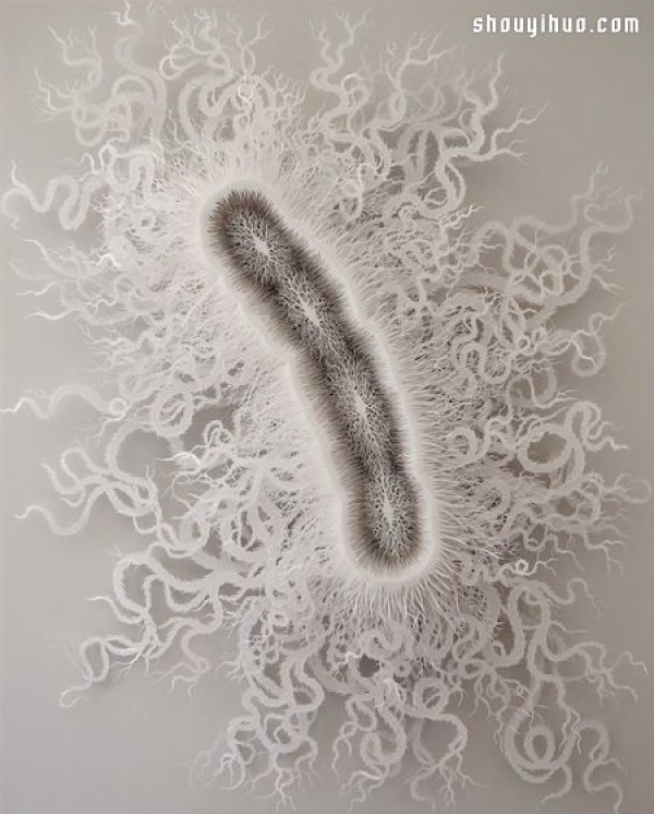 It turns out that bacteria can also be so beautiful! Ultra-fine microbial paper sculpture