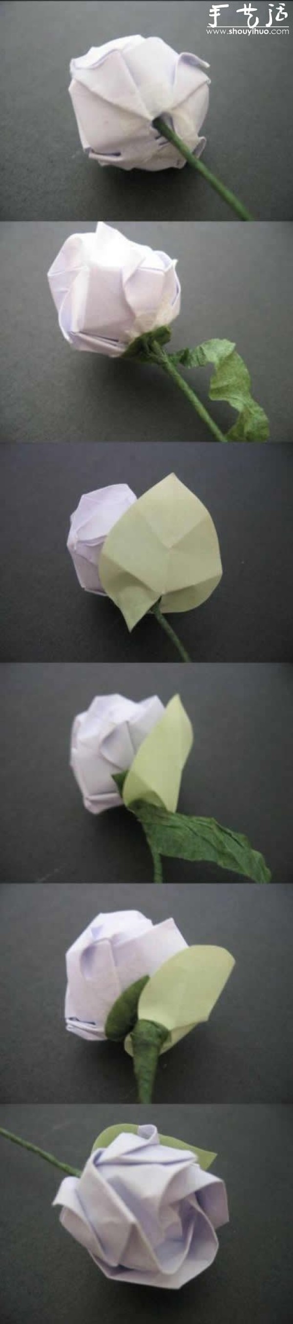 How to fold a Kawasaki rose, a tutorial on folding a Kawasaki rose