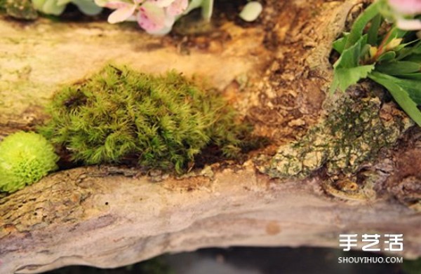 Using dead wood waste in DIY flower pots to make forest-style flower arrangements