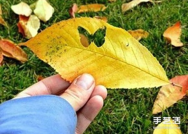 Creative method of making leaf stickers, use a hole punch to cut out the shape you like