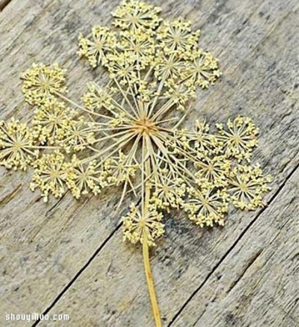 Illustration of the hand-making method of beautiful glue pendant jewelry