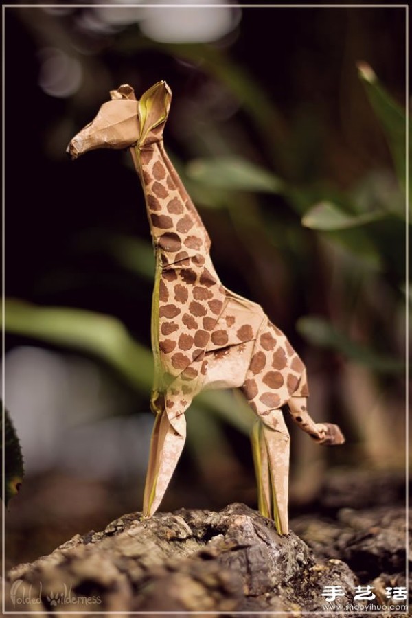 Lifelike creative origami animals