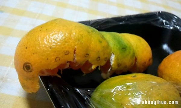 Japanese spoof of creative DIY orange caterpillars that eat oranges