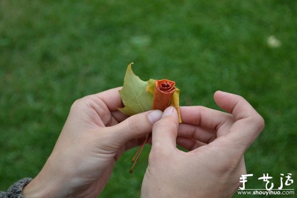 Handmade roses with fiery red maple leaves