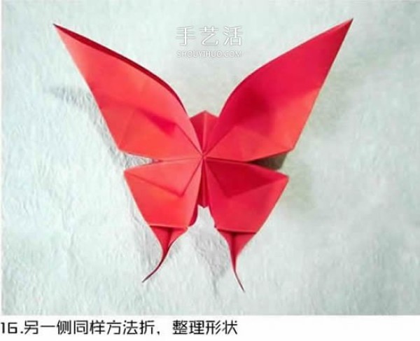 Illustration of the origami method of the beautiful swallowtail butterfly, the largest butterfly