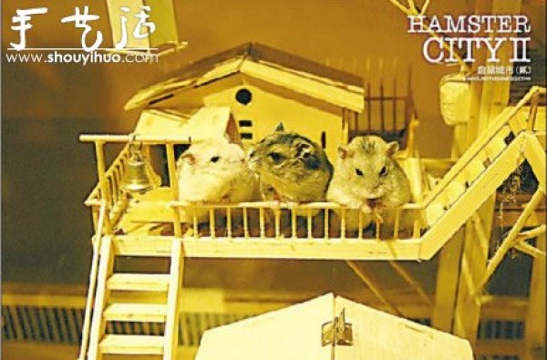 The "city" made by craftsmen for hamsters