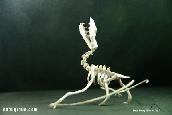 Origami dinosaur works by Vietnamese origami artist Adam Tram