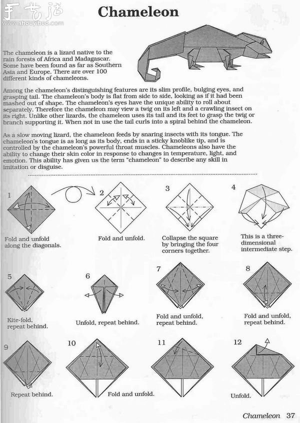 Handmade origami method of three-dimensional chameleon