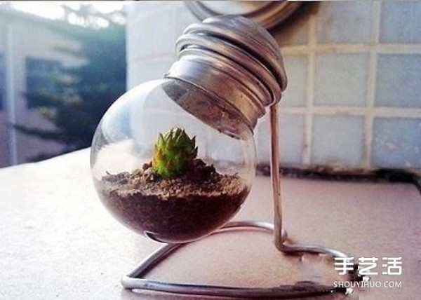 Creative DIY tutorial for making mini succulent bonsai from waste light bulbs