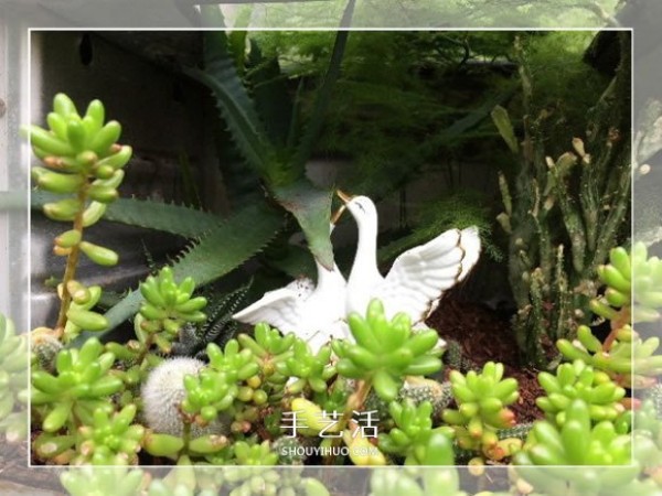 A small way to make a garden bonsai by using old oven waste