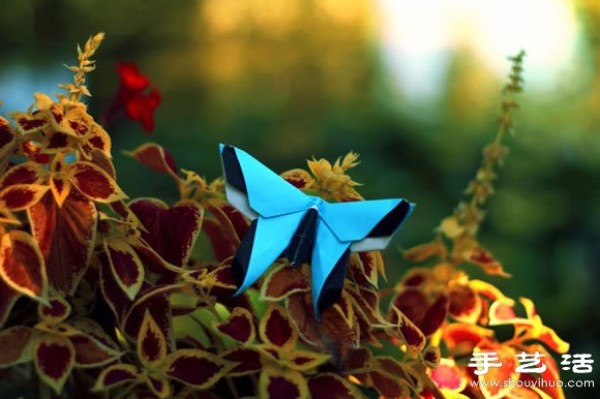 Lifelike and creative origami animals