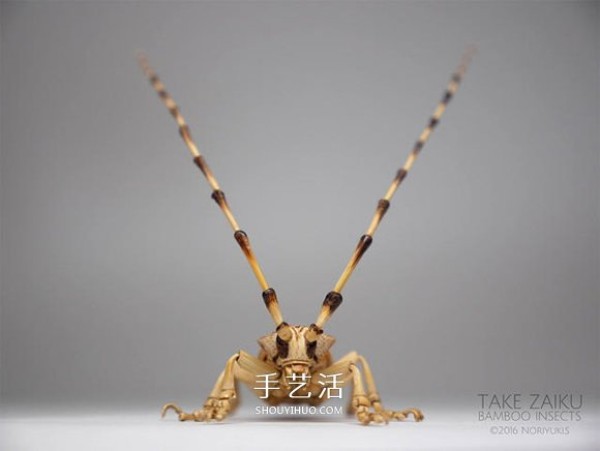 The exquisite insect model made of bamboo is almost the same as the real thing! 