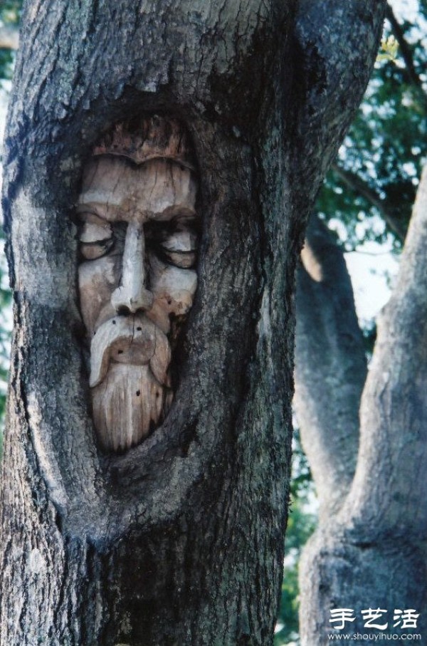 The fusion of tree carving sculpture art and nature