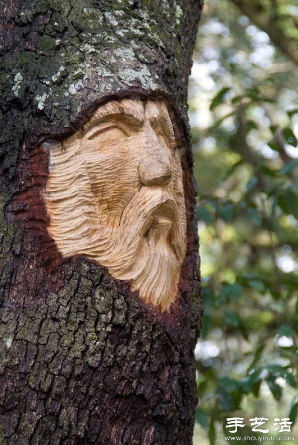 The fusion of tree carving sculpture art and nature