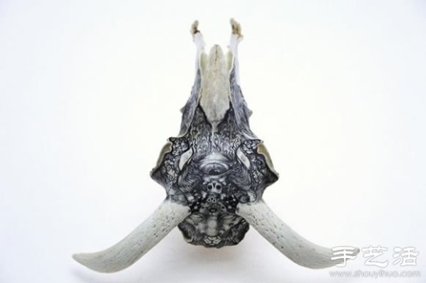 Animal bones, DIY fantasy hand-painting on stones