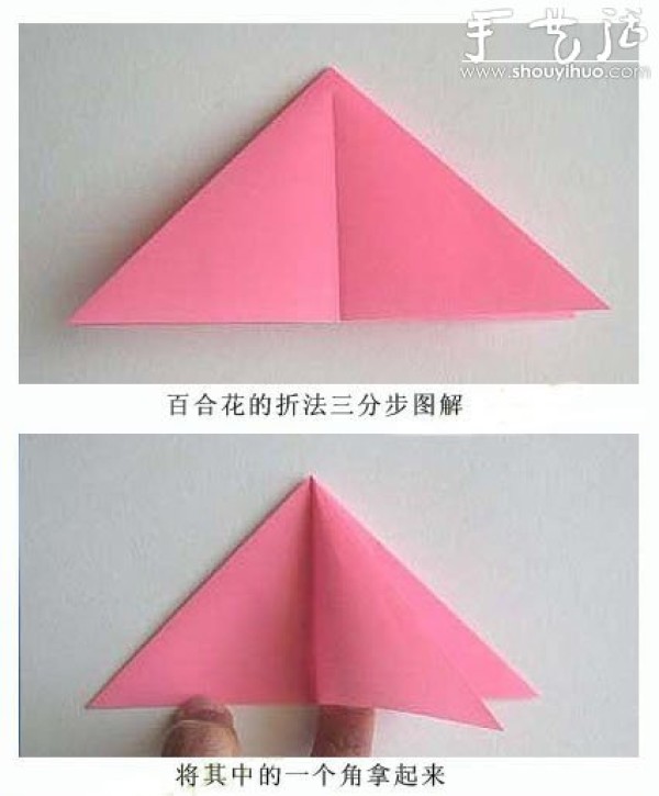 Beautiful Lily Origami Tutorial