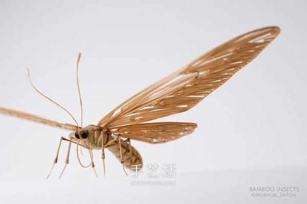 The exquisite insect model made of bamboo is almost the same as the real thing! 